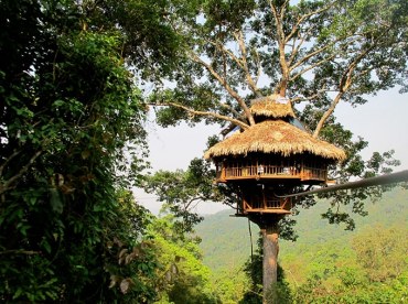 Bài 7: Gặp gỡ cảm ơn
