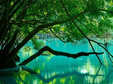 Mảnh đất tự do