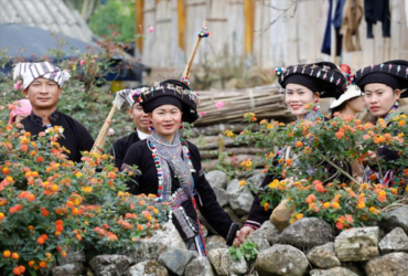 Bài 3: Nối từ giữa 2 cột cho có nghĩa