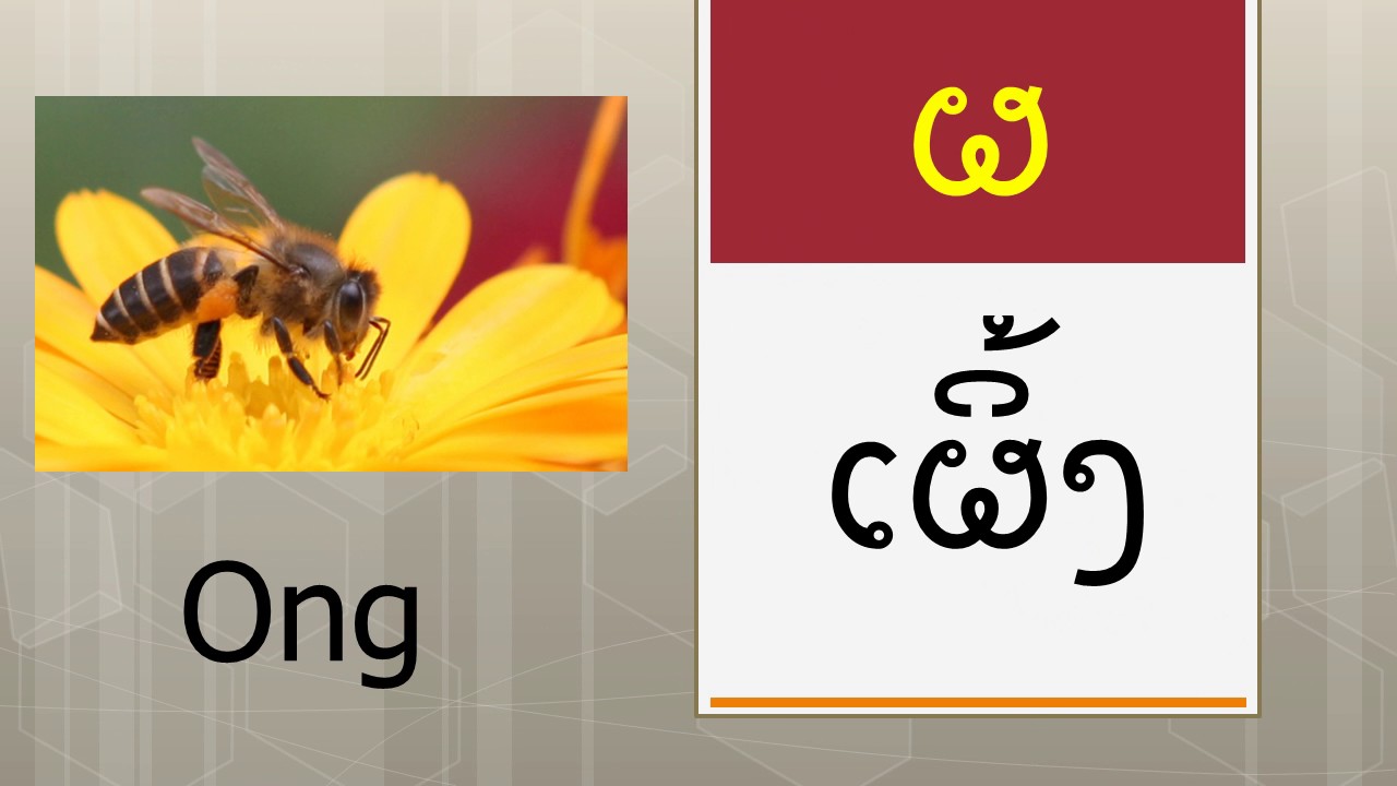 Kết hợp giữa việc học phiên âm, bạn hãy Học nghe và đọc trước khi học nói và viết